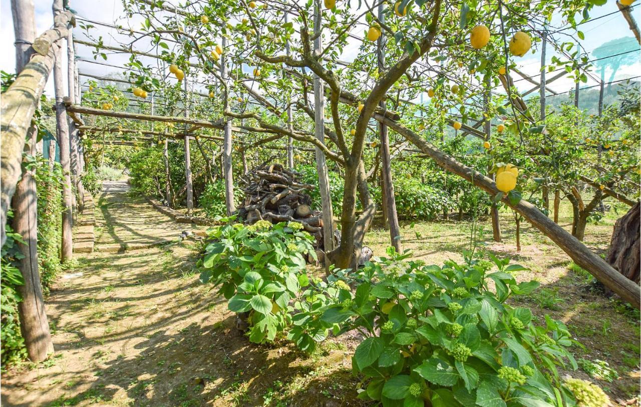Maggie's Paradise Holiday home