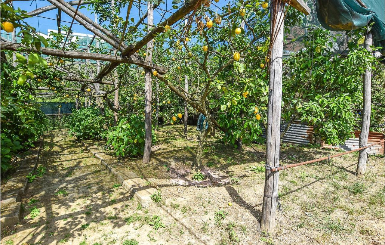 Maggie's Paradise Holiday home Sorrento