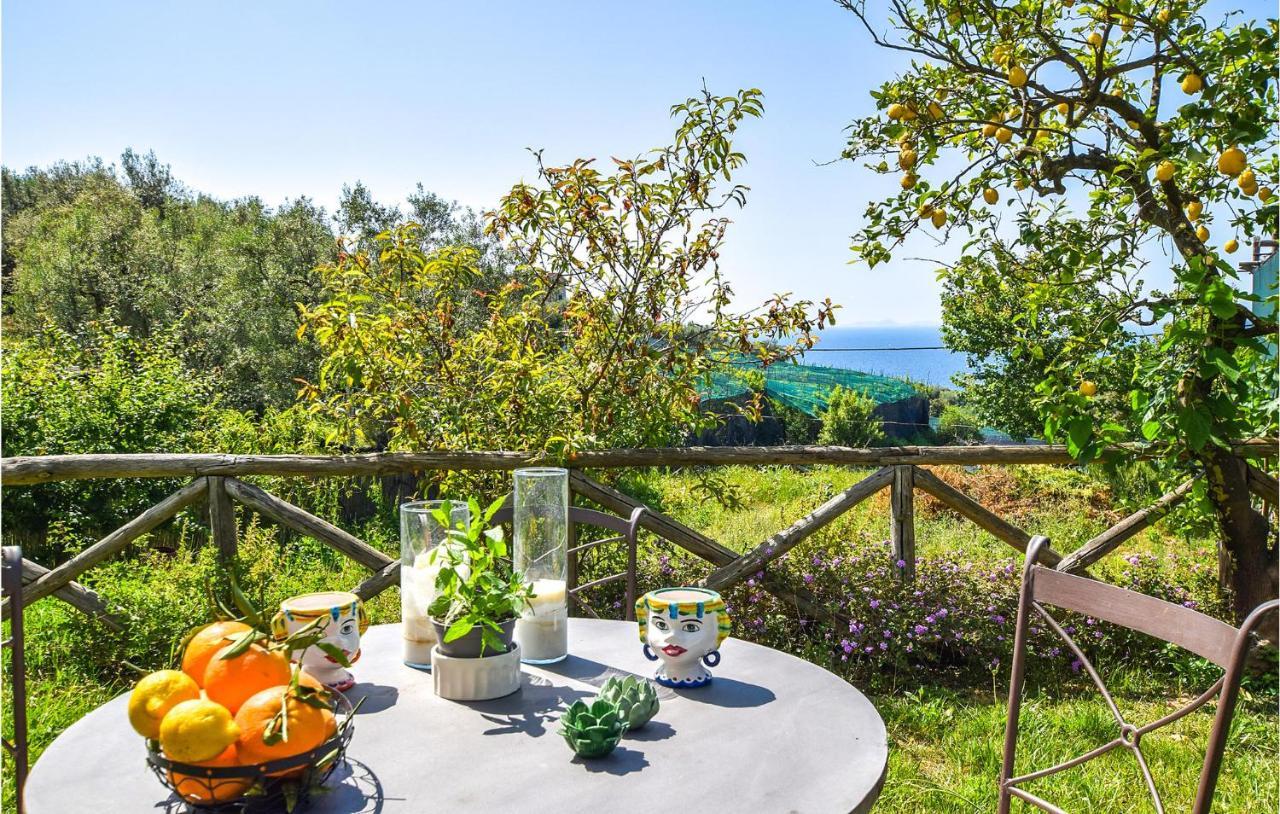 Maggie's Paradise Sorrente